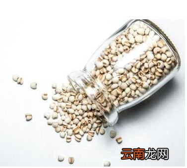 中药泡茶要注意什么 你选对了吗
