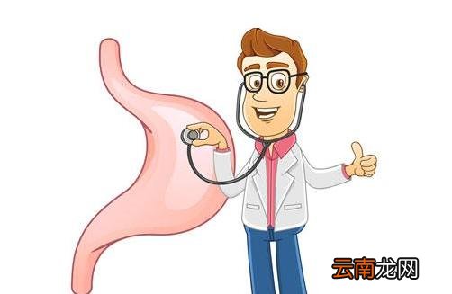 夏季如何养出好肠胃