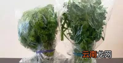 蔬果保鲜方法 这样做比冰箱还厉害