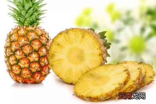 怎么区分菠萝和凤梨 只需四招完美区分