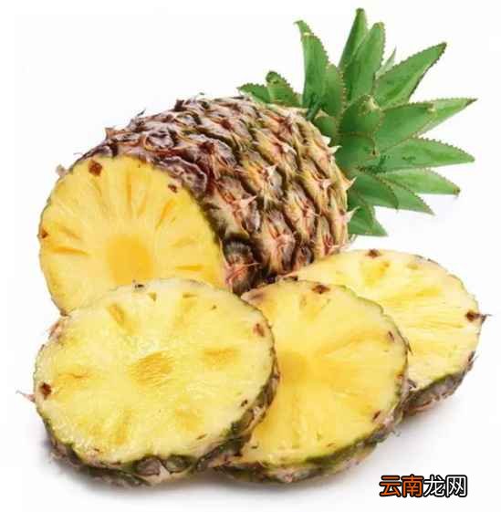 怎么区分菠萝和凤梨 只需四招完美区分