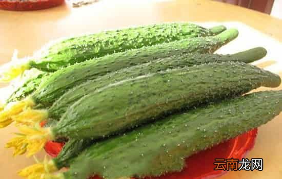 黄瓜吃的发苦怎么回事 黄瓜越靠近尾部苦味素越多