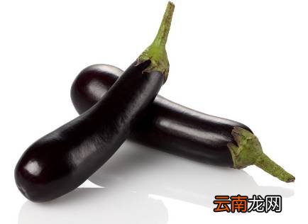 帮助燃脂的食物 燃脂食材排行榜推荐