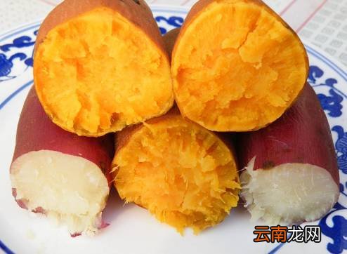 帮助燃脂的食物 燃脂食材排行榜推荐