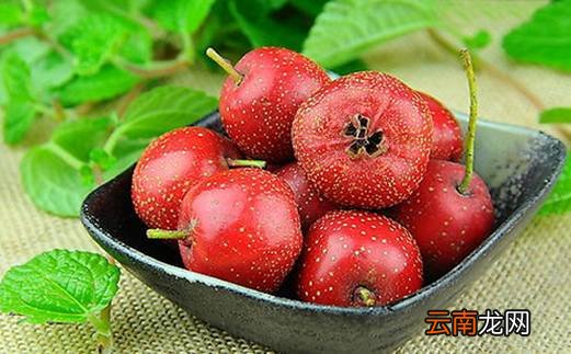 帮助燃脂的食物 燃脂食材排行榜推荐