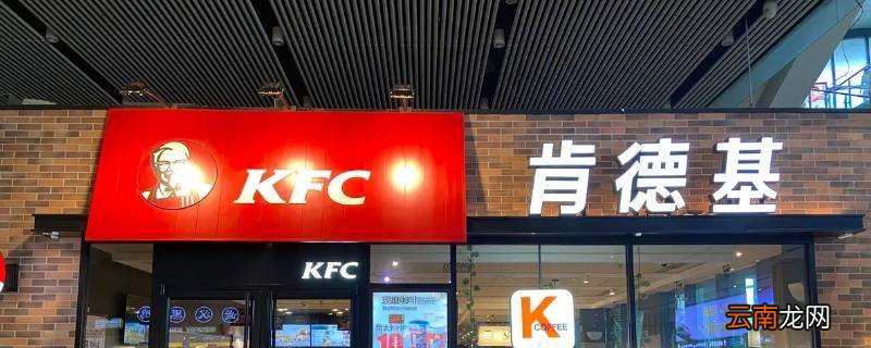 星巴克和肯德基是一家吗