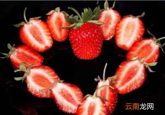 什么样的草莓别买 这五种你得记牢