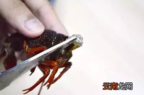 肉类菜怎么清洗干净 用点这个脏东西就跑出来了