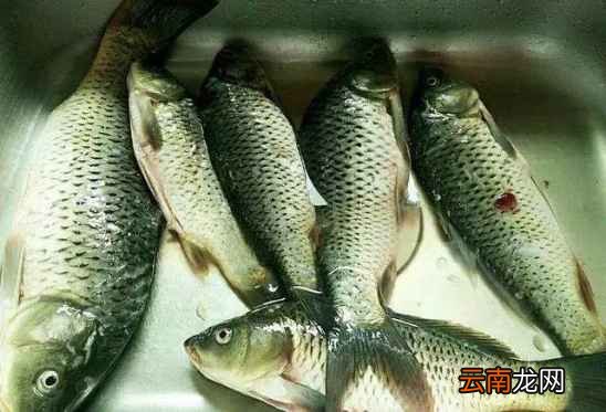 肉类菜怎么清洗干净 用点这个脏东西就跑出来了