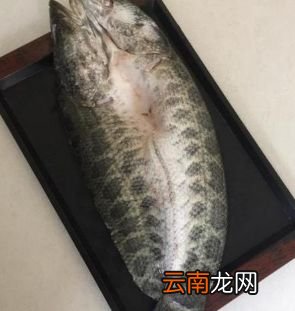 自制烤鱼的家常做法 烤鱼怎么做最好吃