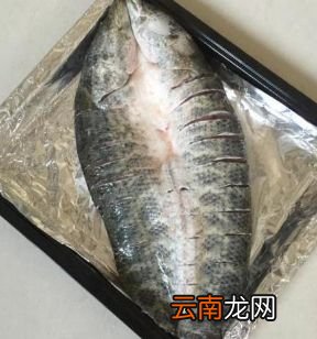 自制烤鱼的家常做法 烤鱼怎么做最好吃