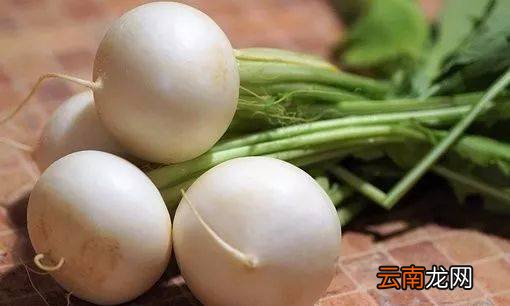 白萝卜药用价值 常吃白萝卜身体棒