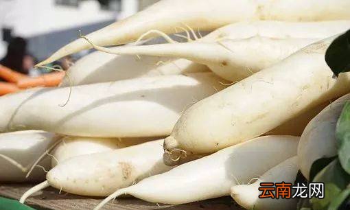 白萝卜药用价值 常吃白萝卜身体棒