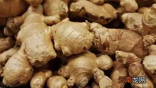 醋泡生姜的功效 醋泡生姜有什么好处