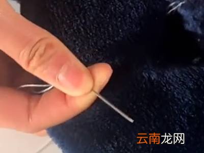 针线怎么缝
