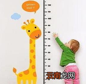 成长中孩子长不高是什么原因