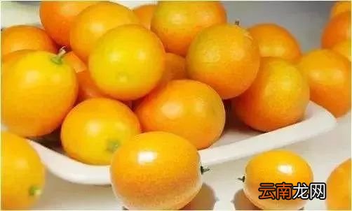 金桔营养价值及功效 金桔泡水加一宝功效强