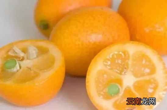 金桔营养价值及功效 金桔泡水加一宝功效强