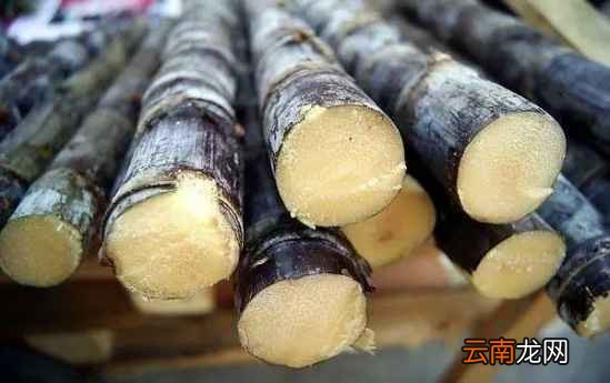 吃甘蔗的功效 这个水果补气血非常好