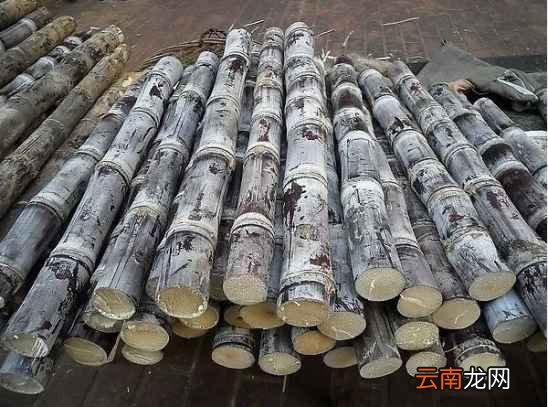 吃甘蔗的功效 这个水果补气血非常好