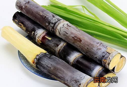 吃甘蔗的功效 这个水果补气血非常好