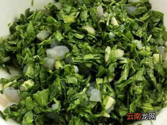 荠菜饺子的做法 怎么做荠菜饺子更好吃
