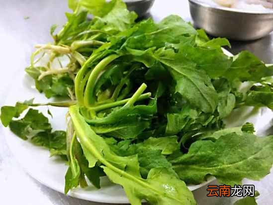 荠菜饺子的做法 怎么做荠菜饺子更好吃