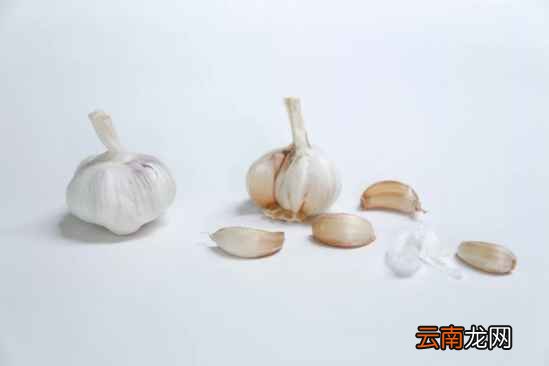 大蒜水的功效及做法 常吃大蒜预防多种疾病