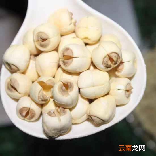 鱼胶怎么吃效果最好 加上一物功效翻倍