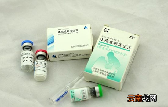 6种一定要打的自费疫苗 自费疫苗为什么也要打