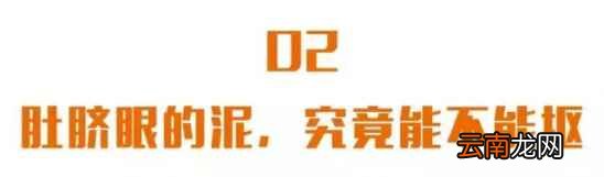 肚脐到底能不能抠 它藏着“生老病死”的秘密