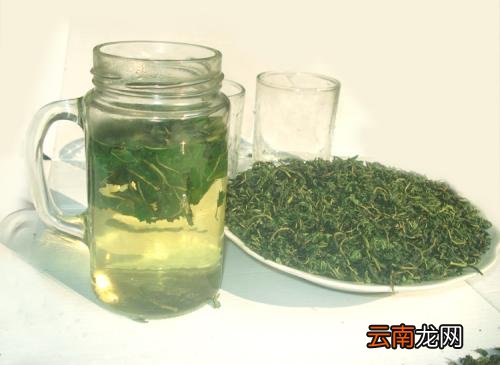 喝桑叶茶的功效 喝桑叶茶有什么作用