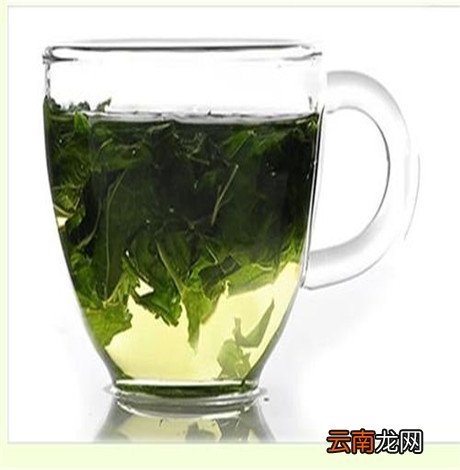 喝桑叶茶的功效 喝桑叶茶有什么作用