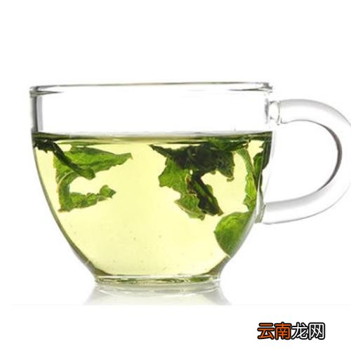 喝桑叶茶的功效 喝桑叶茶有什么作用