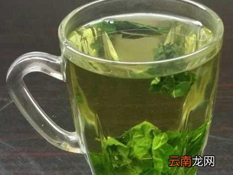 喝桑叶茶的功效 喝桑叶茶有什么作用