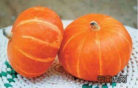 提高免疫力的食物 药补不如这些食补效果好