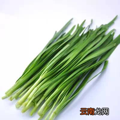 提高免疫力的食物 药补不如这些食补效果好