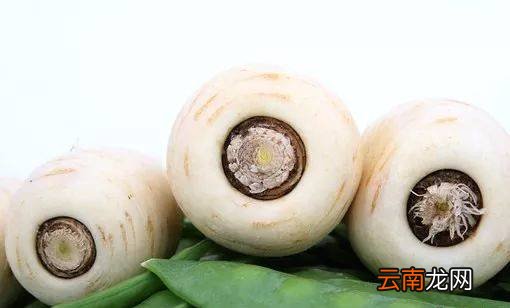 白萝卜的药效价值 常吃白萝卜身体好
