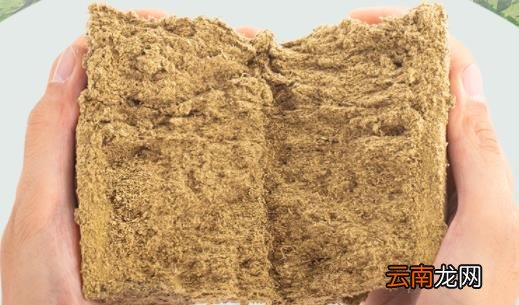 艾灸拉肚子怎么处理 艾灸起水泡还能继续艾灸吗
