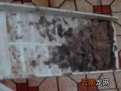 老式洗衣机里的赃物袋怎么取