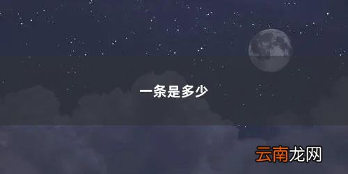 一条是多少