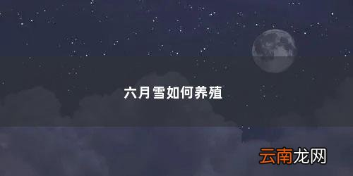 花卉六月雪的养殖方法 六月雪如何养殖