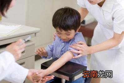 儿童入园体检的有哪些项目