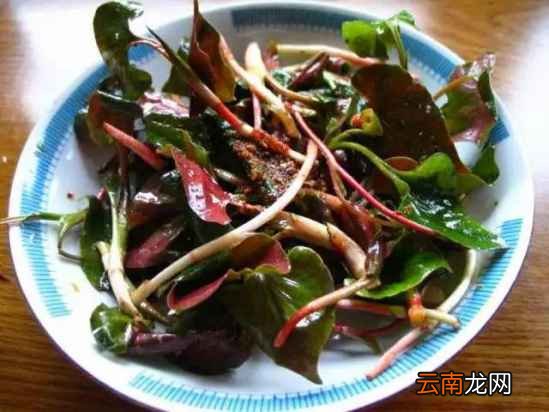 预防癌症的食物 癌特害怕的食物来了