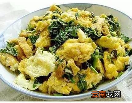 吃野菜的功效 野菜的吃法及药效介绍
