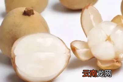 新加坡的奇葩水果 这16种你吃过几个
