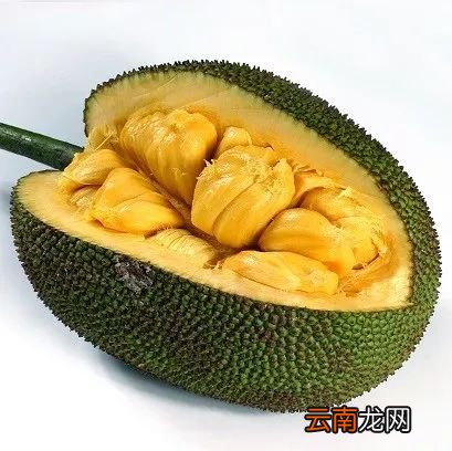 新加坡的奇葩水果 这16种你吃过几个