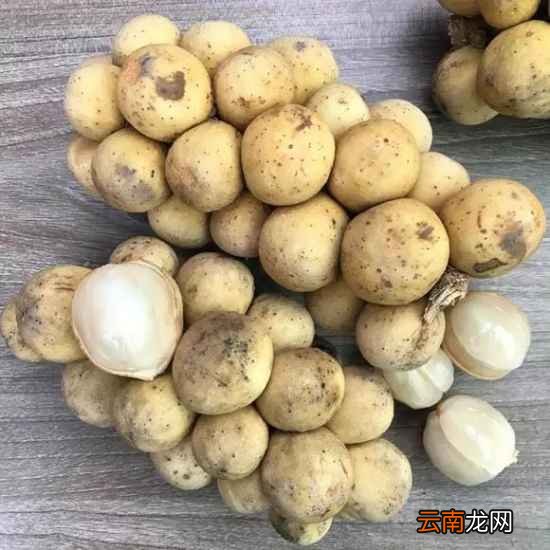 新加坡的奇葩水果 这16种你吃过几个