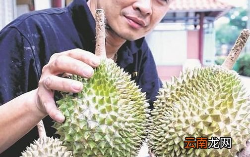 新加坡的奇葩水果 这16种你吃过几个