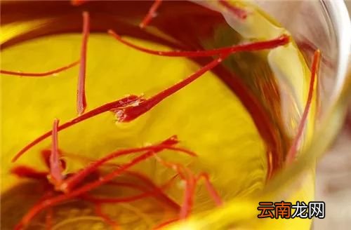 藏红花的功效 女人常吃藏红花养生好
